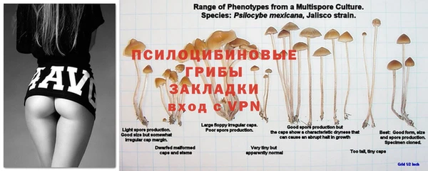 круглые Фёдоровский