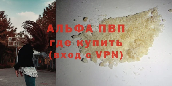 прущие крисы Калининец