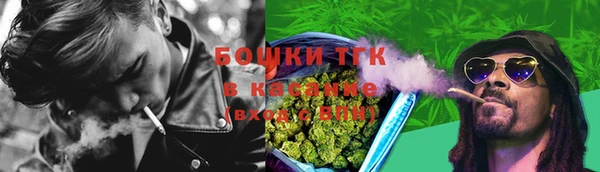 прущие крисы Калининец