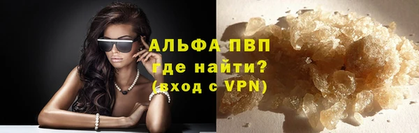 прущие крисы Калининец