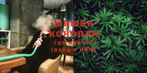 прущие крисы Калининец