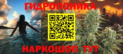 гидра Аргун