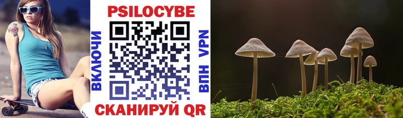 купить цена Апрелевка Псилоцибиновые грибы ЛСД
